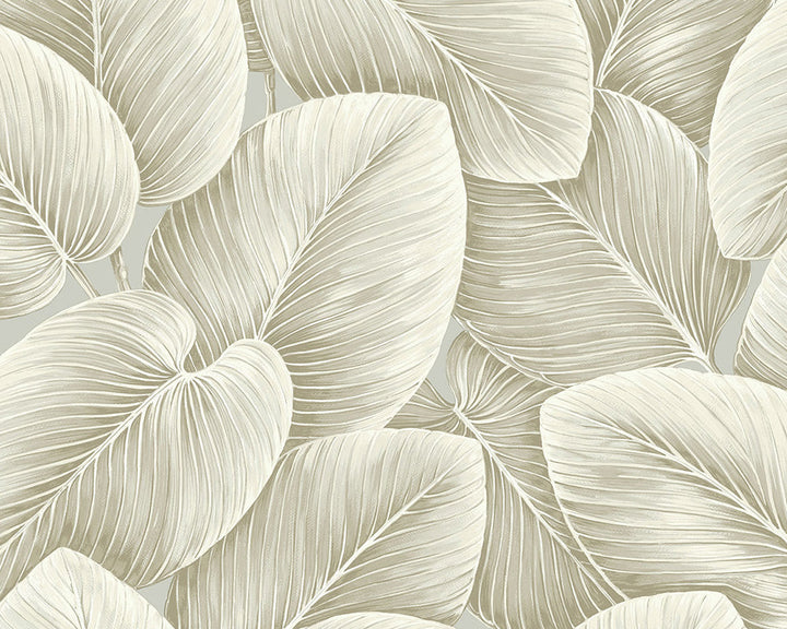 Today Interiors Savannah Grass Wallpaper LS60305