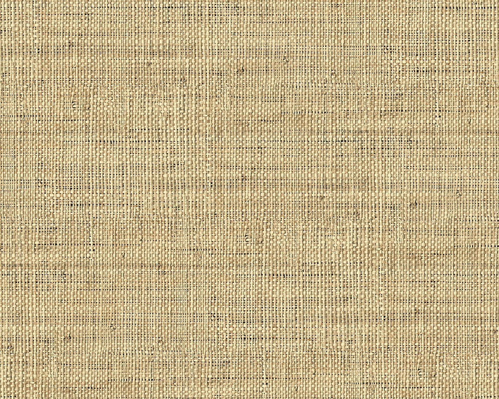 Today Interiors Savannah Grass Wallpaper - Pattern 11