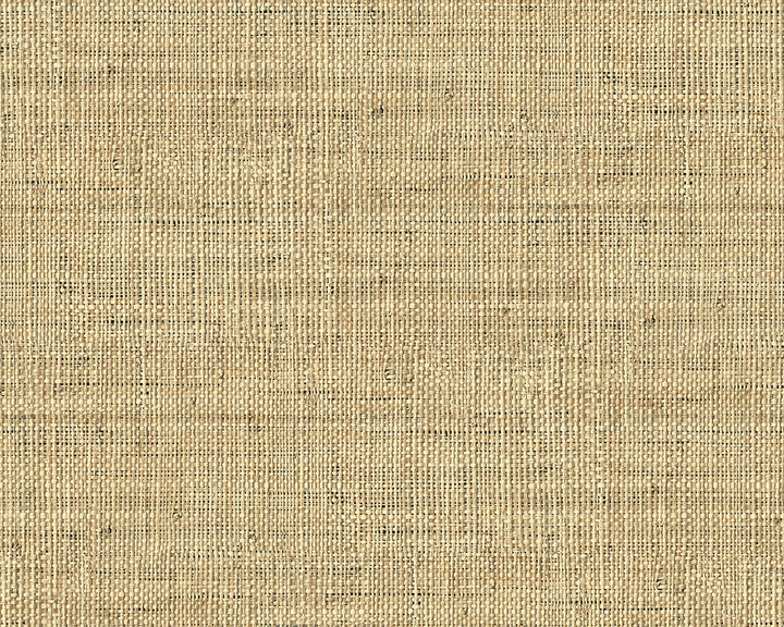 Today Interiors Savannah Grass Wallpaper - Pattern 11