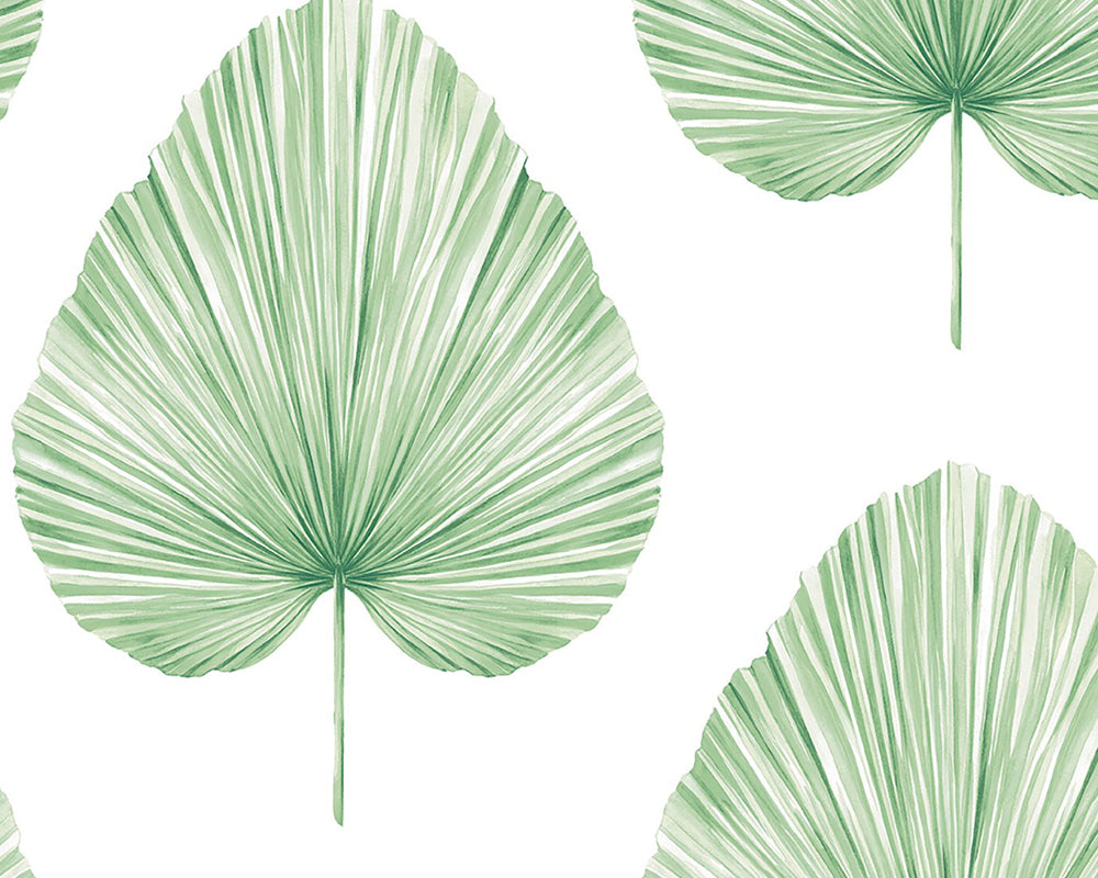 Today Interiors Savannah Grass Wallpaper LS61604