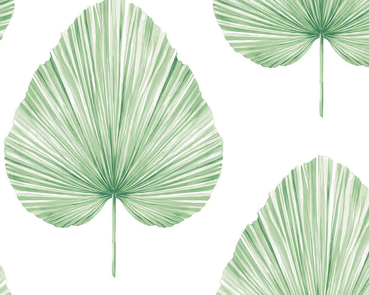 Today Interiors Savannah Grass Wallpaper LS61604