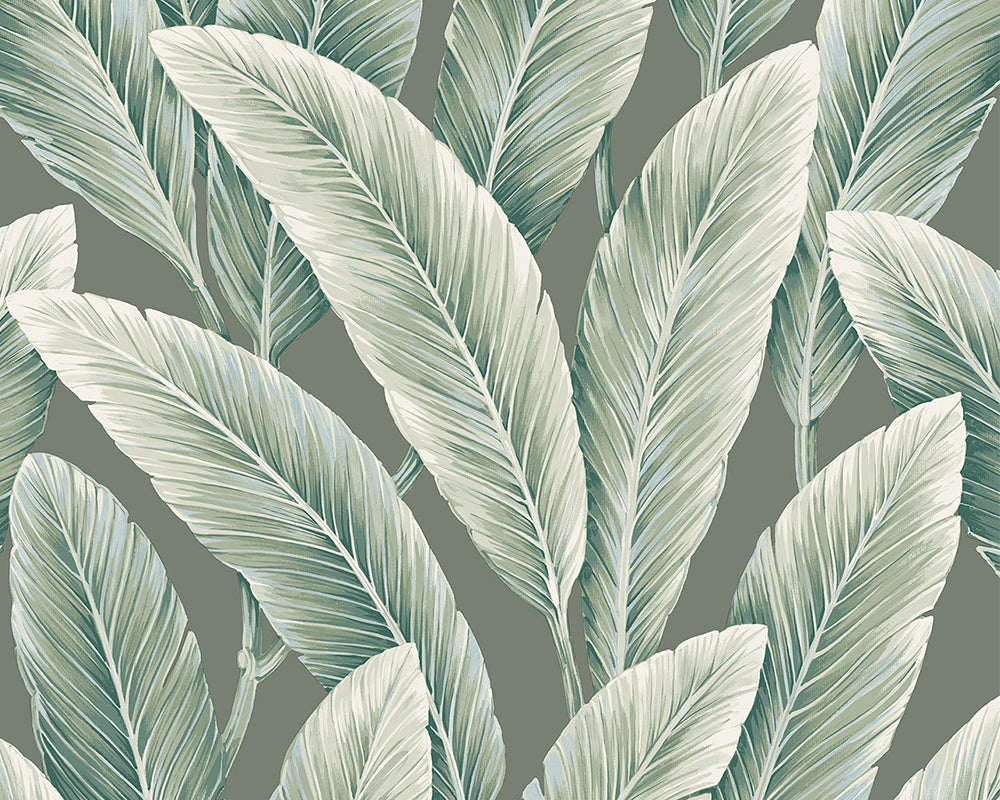 Today Interiors Savannah Grass Wallpaper - Pattern 1