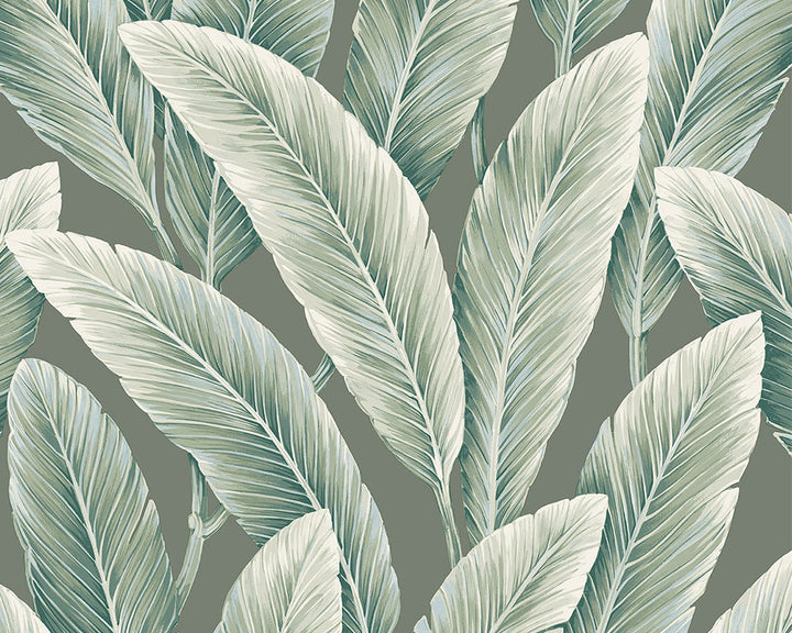 Today Interiors Savannah Grass Wallpaper - Pattern 1