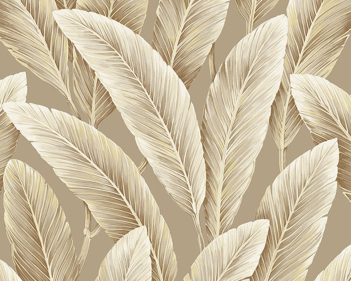 Today Interiors Savannah Grass Wallpaper - Pattern 1