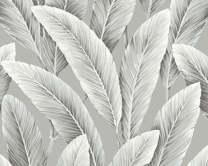 Today Interiors Savannah Grass Wallpaper - Pattern 1