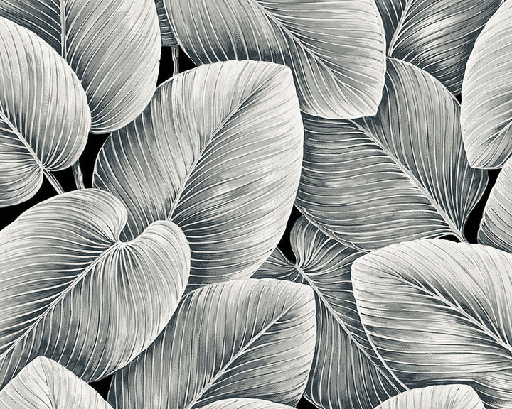 Today Interiors Savannah Grass Wallpaper - Pattern 4
