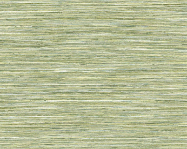 Today Interiors Savannah Grass Wallpaper - Pattern 3