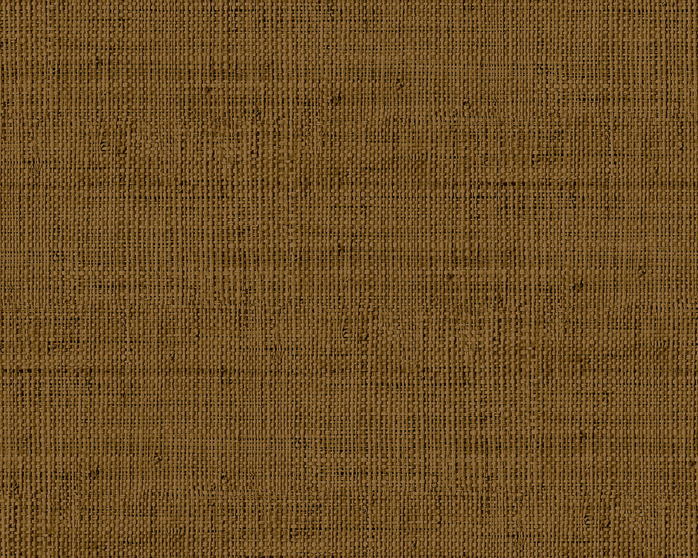 Today Interiors Savannah Grass Wallpaper - Pattern 11
