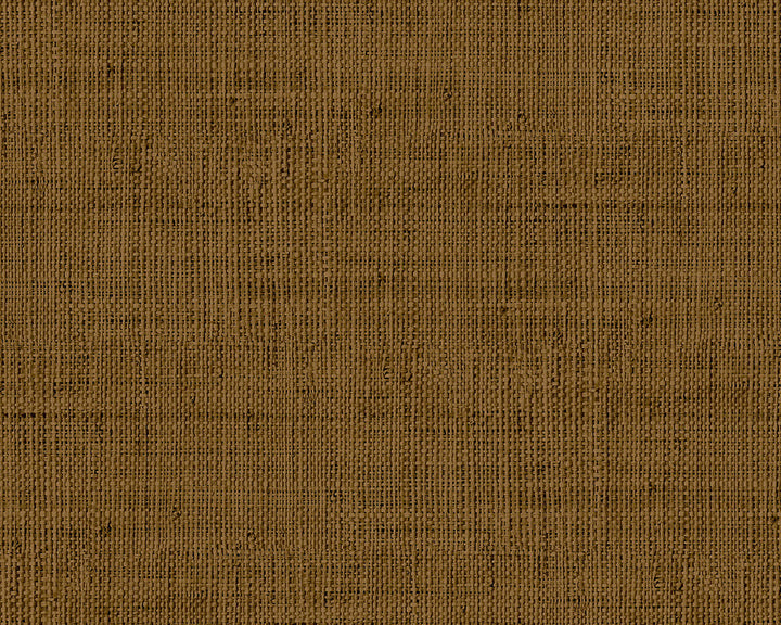 Today Interiors Savannah Grass Wallpaper - Pattern 11