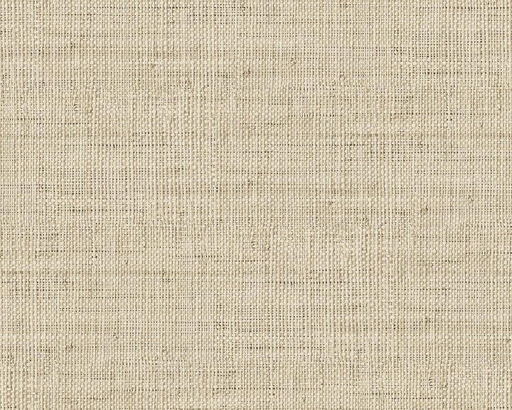 Today Interiors Savannah Grass Wallpaper - Pattern 11