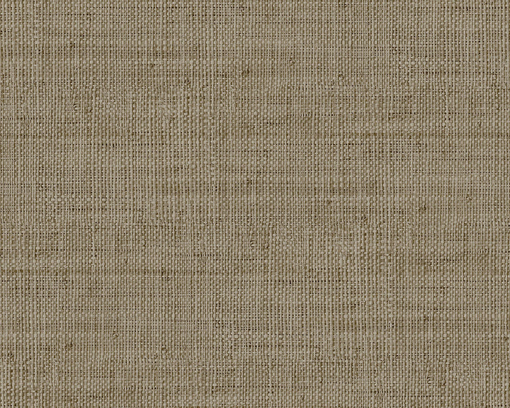 Today Interiors Savannah Grass Wallpaper - Pattern 11