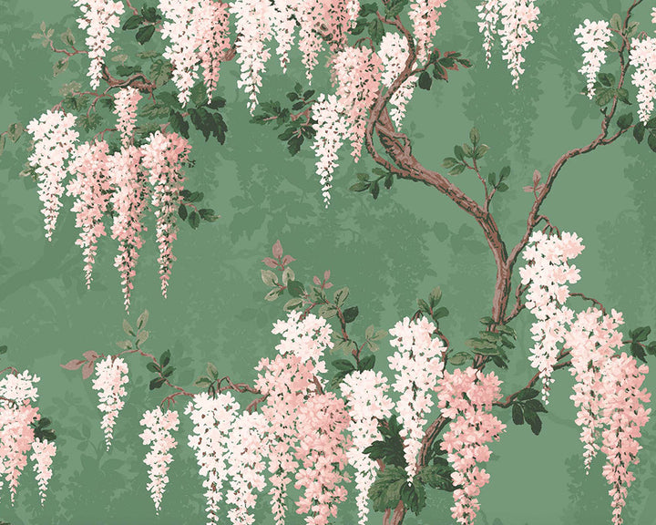 Woodchip & Magnolia Wisteria Wallpaper