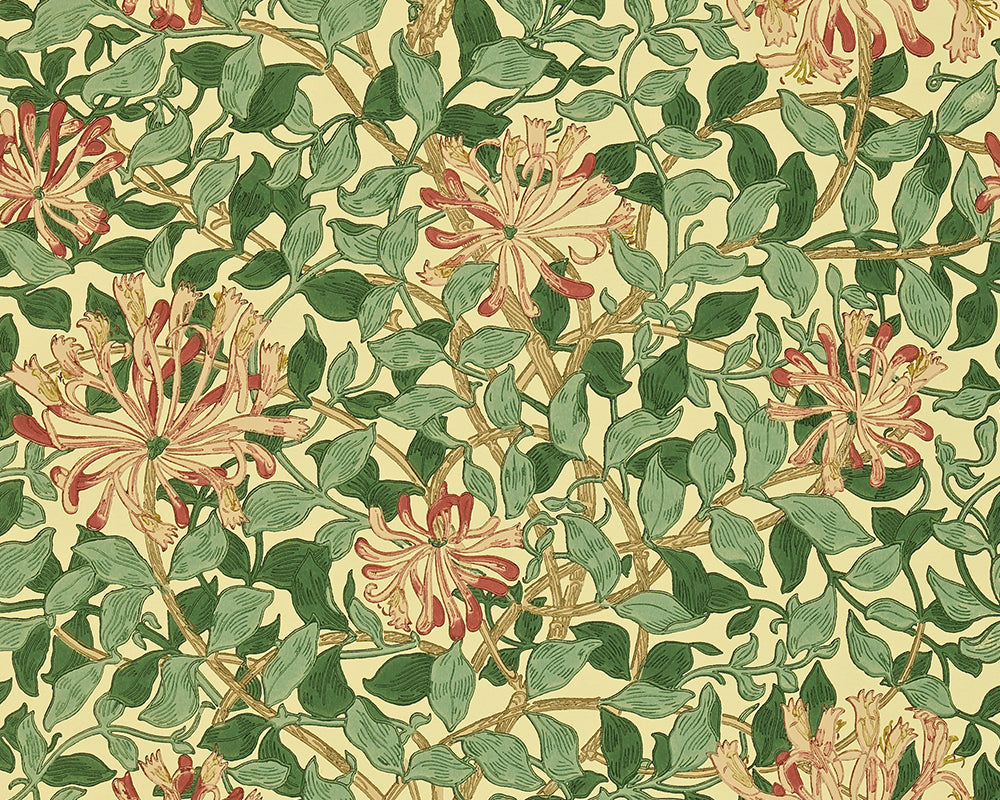 Morris & Co Honeysuckle Wallpaper in Green/Coral/Pink