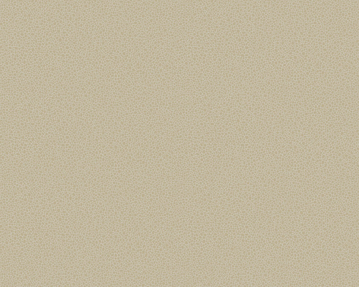 Cole & Son Goldstone 107/9042