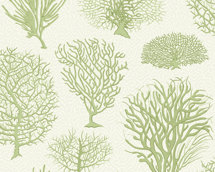 Cole & Son Seafern 107/2008