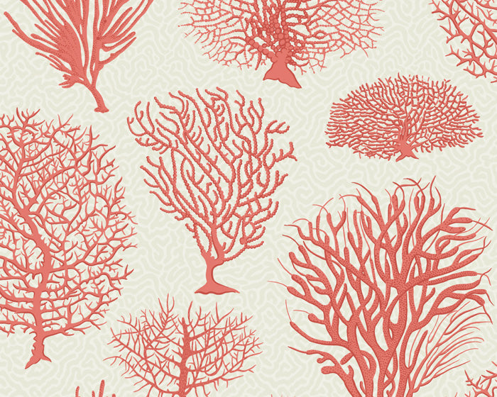 Cole & Son Seafern 107/2011