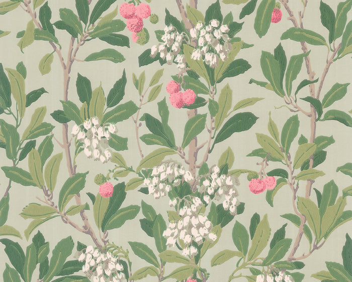 Cole & Son Strawberry Tree 100/10048