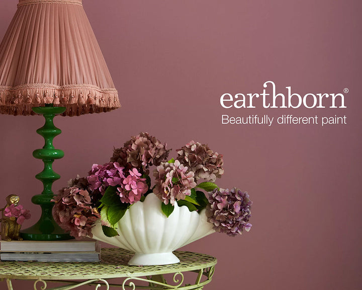 Earthborn Gosh Golly Paint in a room