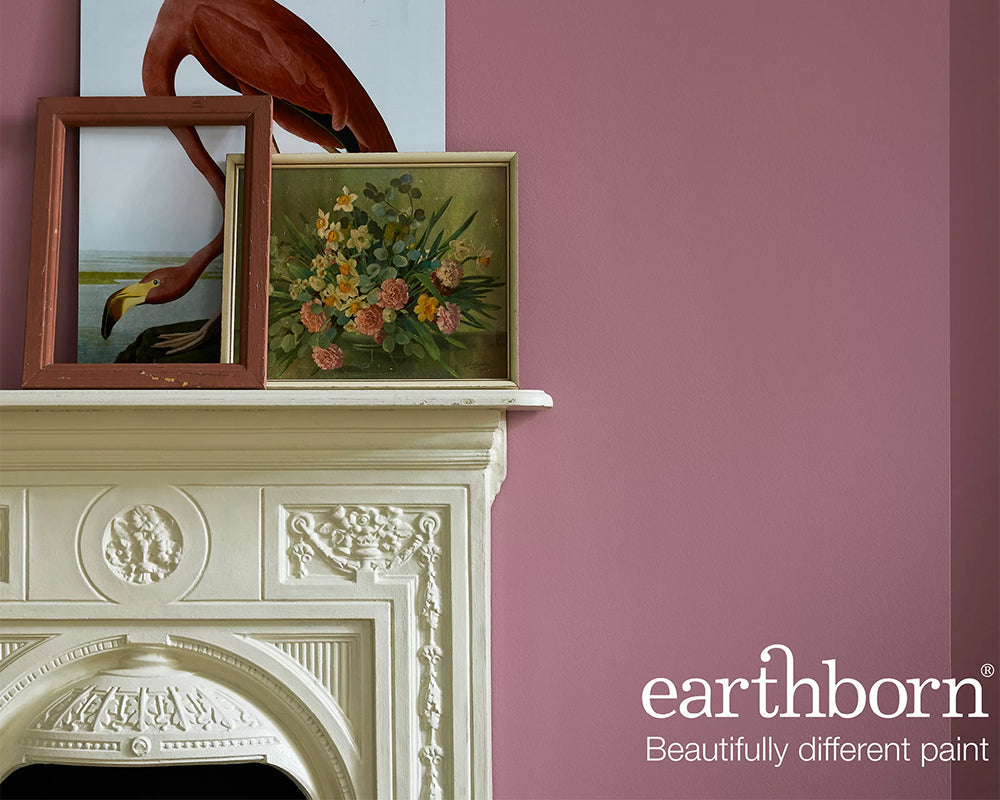 Earthborn Gosh Golly Paint in a room