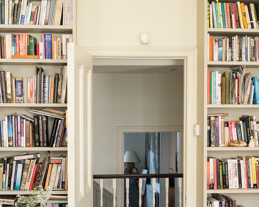 James White 2010 paint by Farrow & Ball in a home library