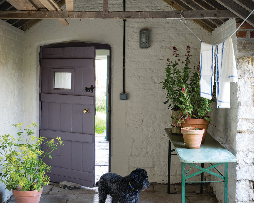 Joa's White 226 paint by Farrow & Ball in a cottage with dog