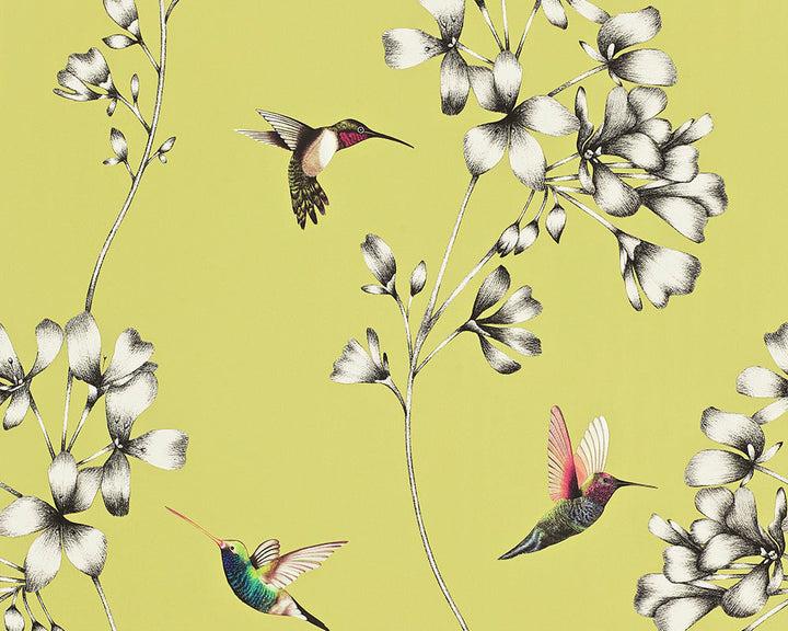 Harlequin Amazilia Wide Width Wallpaper in Gooseberry