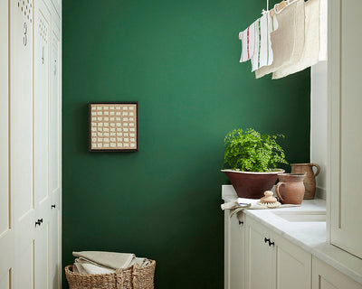 Little Greene Dark Brunswick Green 88 Paint on a laundry room wall