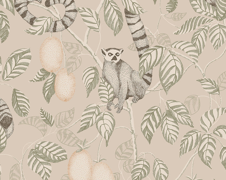 Sandberg Elliot Wallpaper