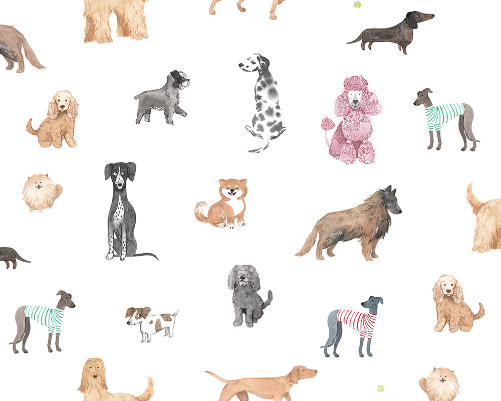 Sandberg Taiga and Friends Mural Wallpaper