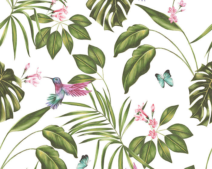 OHPOPSI Hummingbird Wallpaper