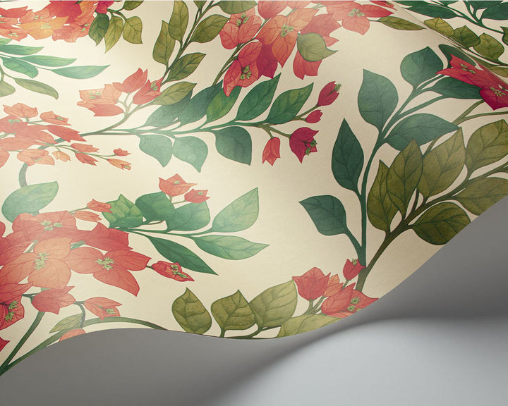 Cole & Son Bougainvillea Wallpaper wave