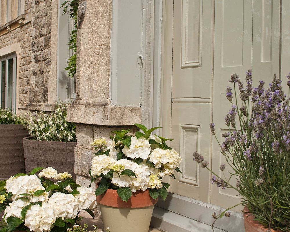 Ball Green 75 paint by Farrow & Ball used on exterior woodwork