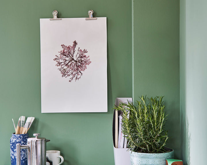 Breakfast Room Green 81 paint by Farrow & Ball on the walls of a home office