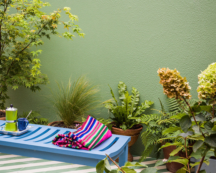 Breakfast Room Green 81 paint by Farrow & Ball on an exterior wall with colour flowers and bench