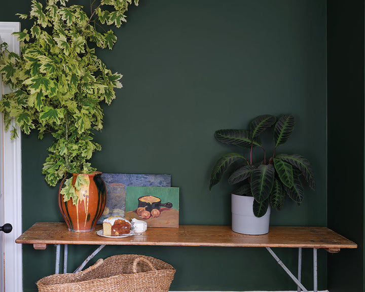 Farrow & Ball Duck Green W55 Paint in a living space with rustic decor