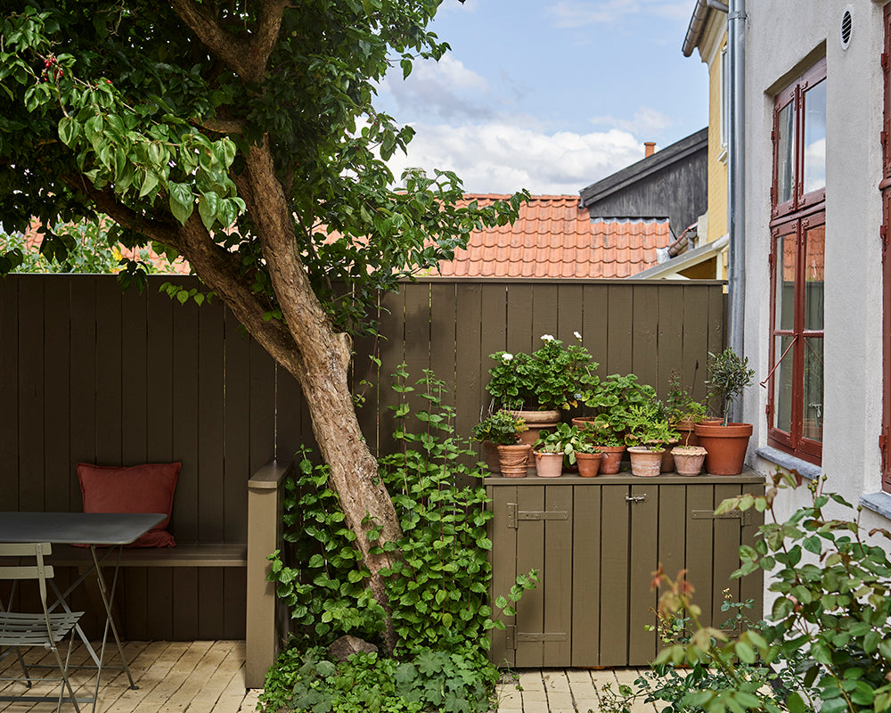 Pantalon 221 paint by Farrow & Ball on a fence in a garden