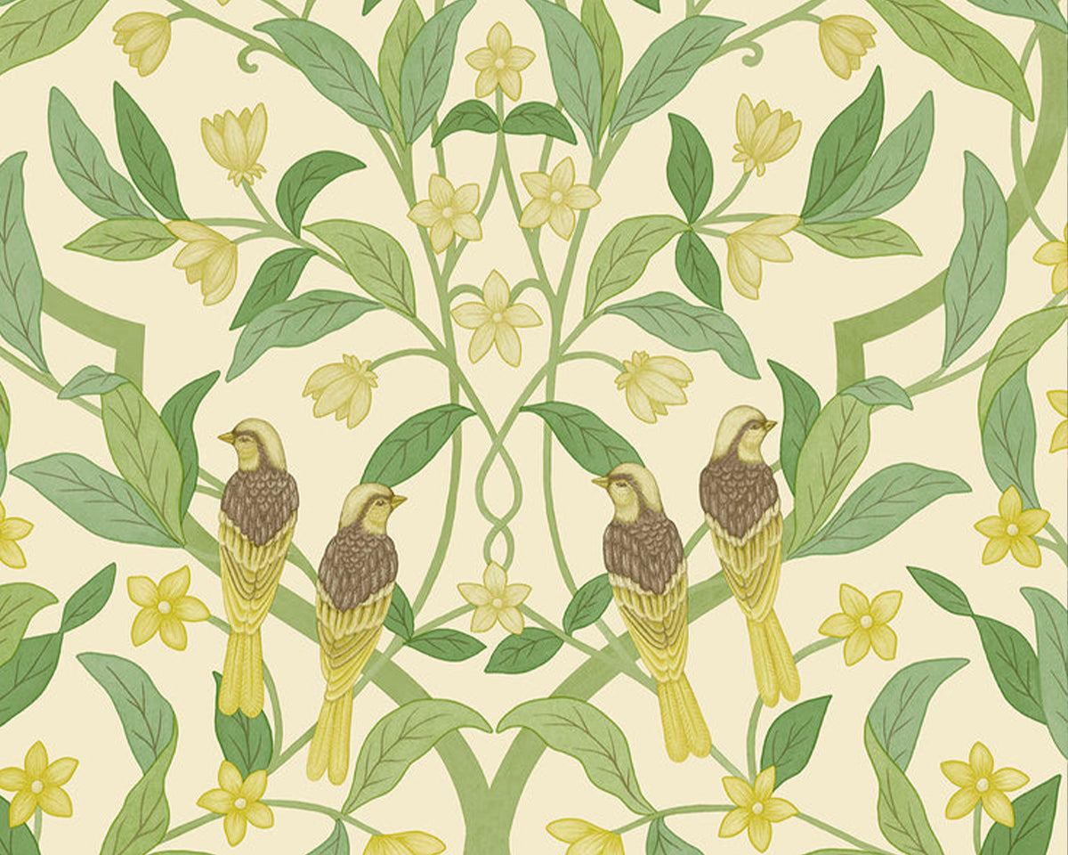 Cole & Son Jasmine and Serin Symphony 117/10031 Wallpaper