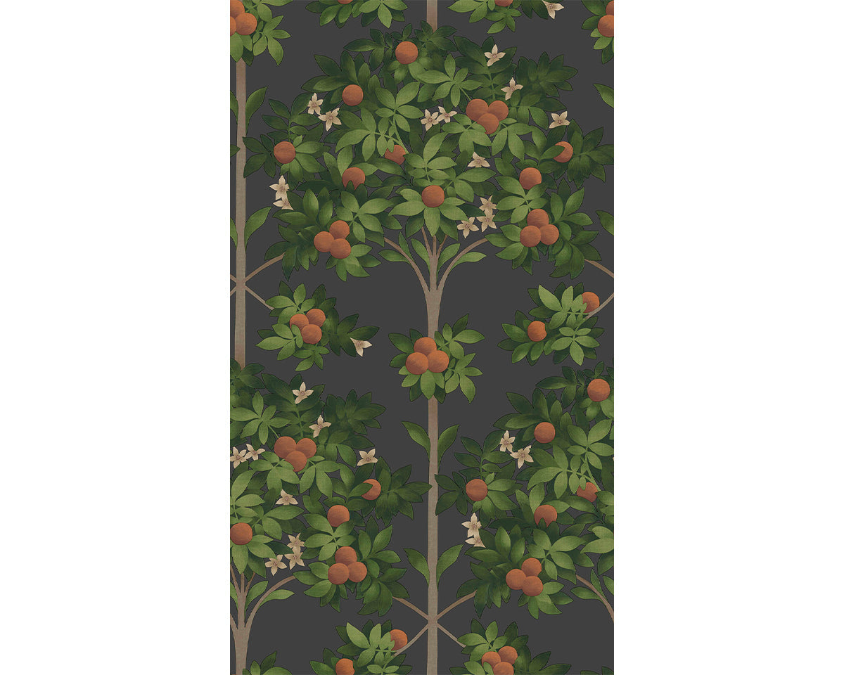 Cole & Son Orange Blossom 117/1003 Wallpaper