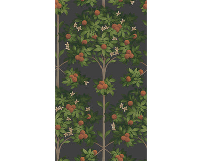 Cole & Son Orange Blossom 117/1003 Wallpaper