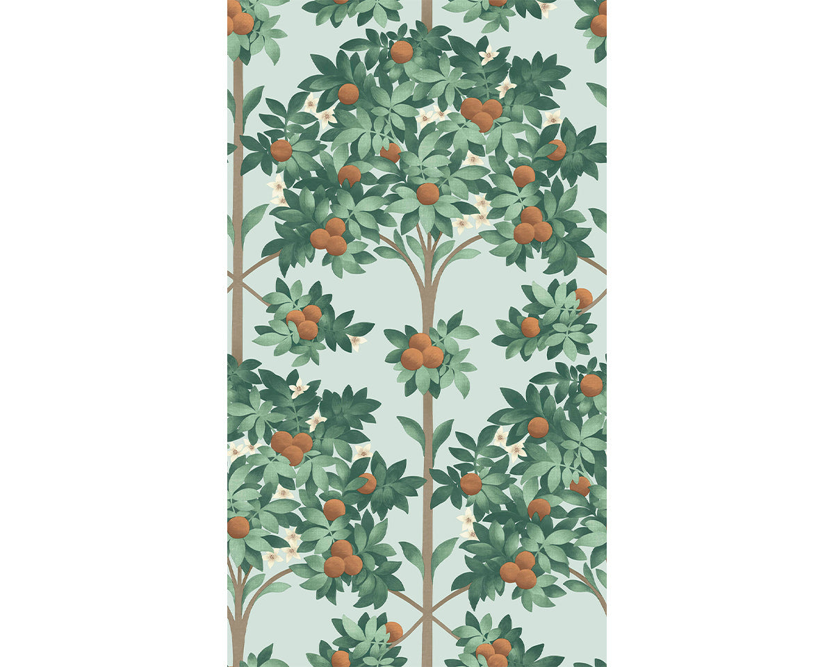 Cole & Son Orange Blossom 117/1004 Wallpaper
