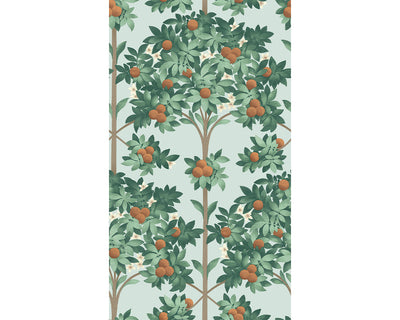 Cole & Son Orange Blossom 117/1004 Wallpaper