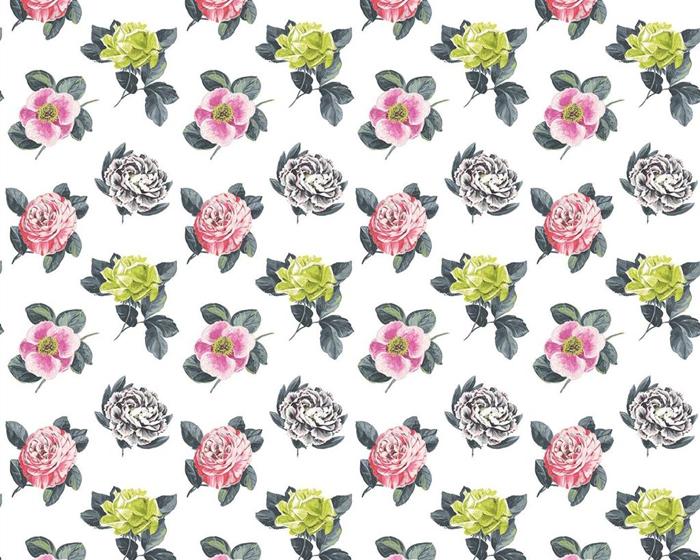 Designers Guild  Pavonia - Peony P601/01 Wallpaper