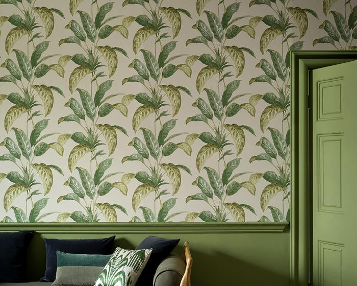 Paint & Paper Library Tropicane Plimsoll Wallpaper