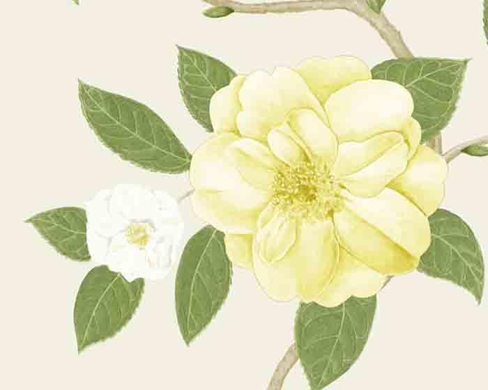 Sanderson Christabel Yellow/Ivory 213377 Wallpaper