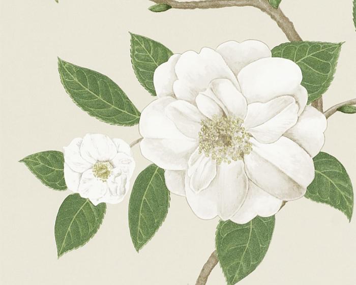 Sanderson Christabel Ivory/Cream 213380 Wallpaper