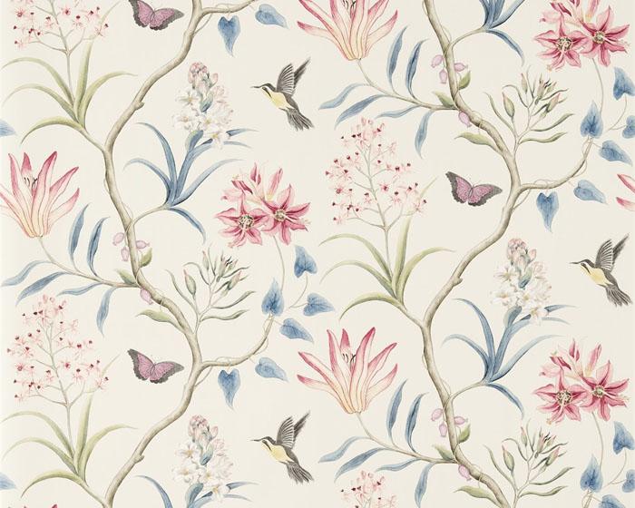 Sanderson Clementine Indienne 213387 Wallpaper