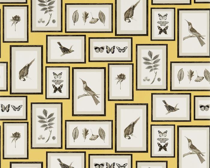 Sanderson Picture Gallery Yellow/Charcoal 213396 Wallpaper
