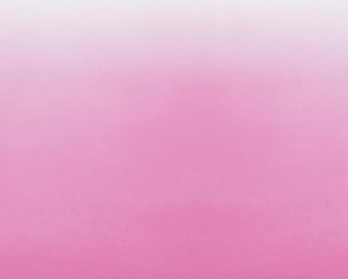 Designers Guild Saraille - Fuchsia P600/06 Wallpaper