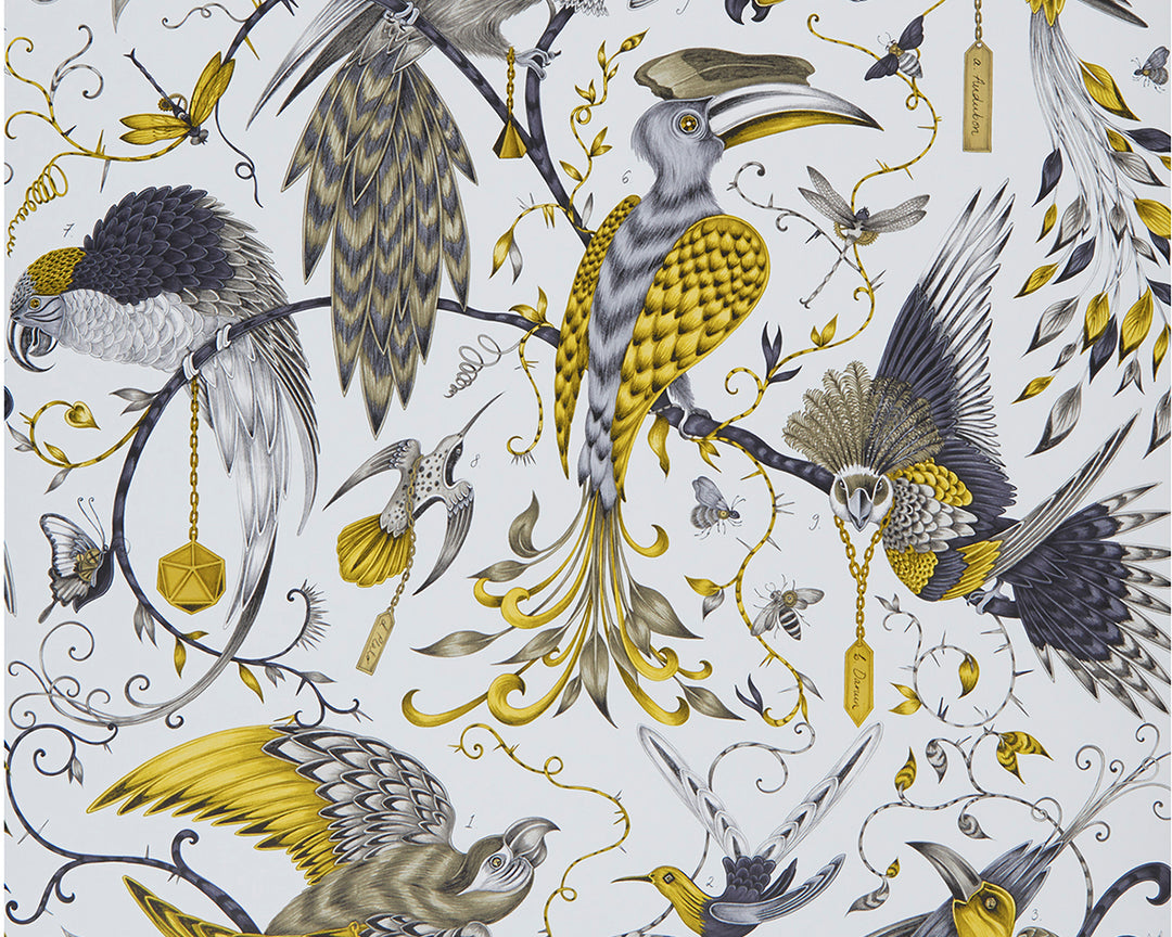 Clarke & Clarke x Emma J Shipley Audubon Wallpaper