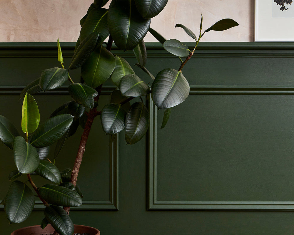 Mylands Brompton Road 205 Paint on panelling